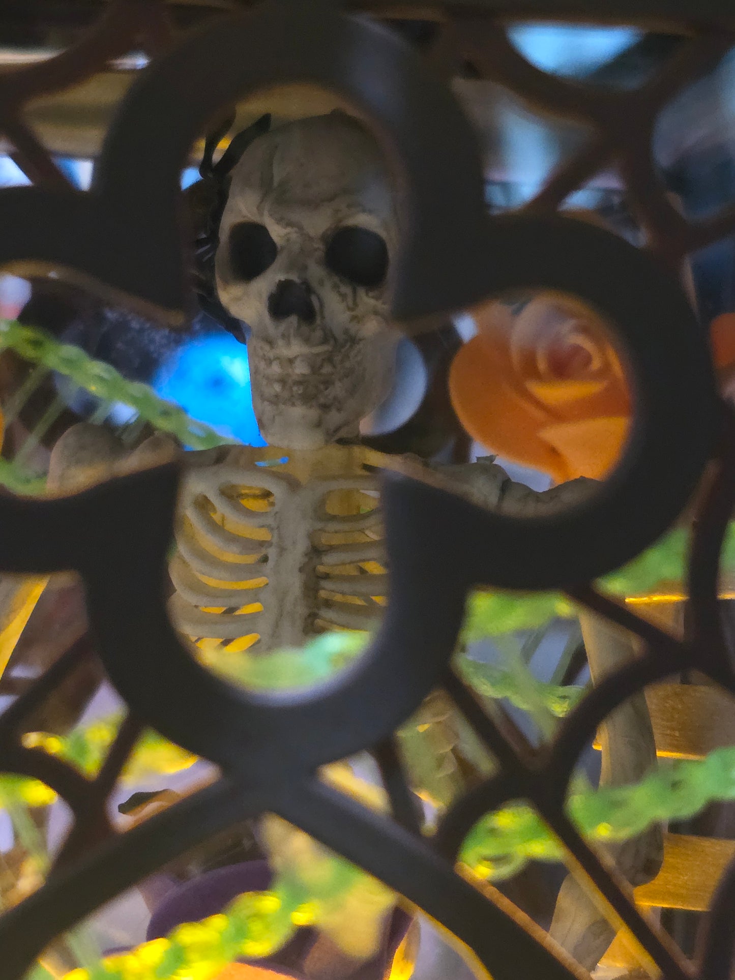 Repurposed Halloween latern